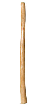 Medium Size Natural Finish Didgeridoo (TW1333)